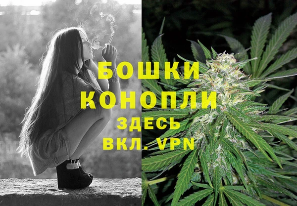 первитин Гусев