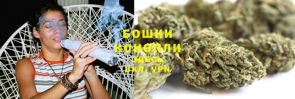 дживик Гусь-Хрустальный