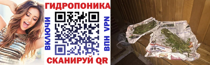 Конопля индика  Купить  Чернушка 